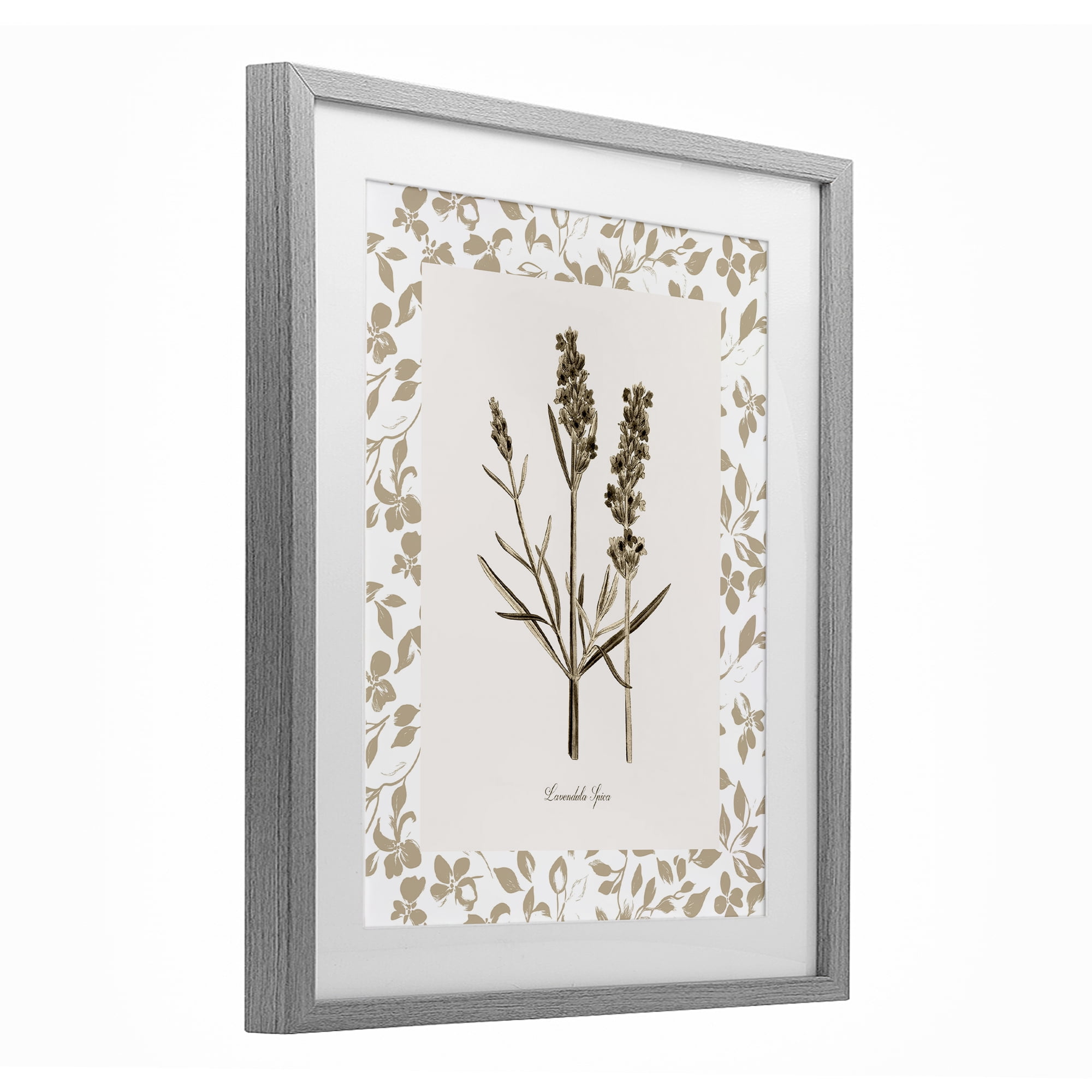 Stupell Industries Neutral Imperial Herb Study Gray Framed Print Under Glass, design by Kelly Donovan