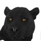 thumbnail image 4 of 3D Simulation Animal Head Statues Wall Decor Resin Unique Exquisite Animal Head Statues Wall Hanging Sculpture for Home Bar Black Leopard, 4 of 4