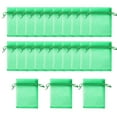 thumbnail image 2 of Miulika 100 Pack Fruit Cover Bags Netting Barrier Bags 4x6 inch Reusable Breathable Small Drawstring for Apples Strawberries Berries , Green, 2 of 9