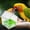 Green, variant on Large Pull-Out External Parrot Feeder and Transparent Hanging Bird Bath for Cage - No Mess Design with Pull-Out Tray, Two Food Slots for Small Medium Birds, Easy to Fill and Clean