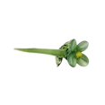 thumbnail image 3 of Mini flor de cristal, flor artificial, decoración coleccionable, decoración decorativa para Verde, 3 of 9