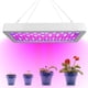 thumbnail image 3 of Luz LED para crecimiento de plantas luz de relleno inteligente de alta potencia para invernadero suculento AC 100-277V luz LED blanca de espectro completo para cultivo ANGGREK Otros, 3 of 8