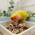 thumbnail image 6 of Bird Chew Toy Natural Wood Chip Parrot Teeth Blocks Parrot Foraging Toy Stress Relief Cage Accessory for Parakeet Cockatiel Conure Small Medium Pet Birds 6 Pcs Random Style, 6 of 8