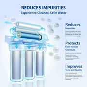 APEC Top Tier Alkaline Mineral Ph+ Ultra Safe Reverse Osmosis Drinking Water Filter System (ESSENCE ROES-PH75)
