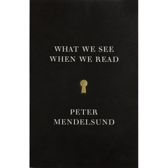 What We See When We Read, (Paperback)