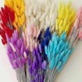 thumbnail image 1 of 50 Piece Rabbit Tail Grass Bunny Tails Dried Flowers Plant Stems, 1 of 3