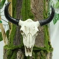 thumbnail image 3 of Adorno Cabeza Calavera Vaca Longhorn Ygjytge Estatua Animal 3D Pared, 3 of 9