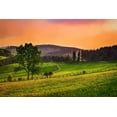 thumbnail image 2 of Alpenglow Workshop 18x13 White Modern Wood Framed Museum Art Print Titled - Evening Pasture, 2 of 4