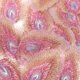 thumbnail image 5 of 20 parches decorativos de plumas de pavo real para manualidades, delicados parches para abrigos, 5 of 8