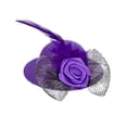 thumbnail image 1 of Pet Chicken Hat Purple, 1 of 1