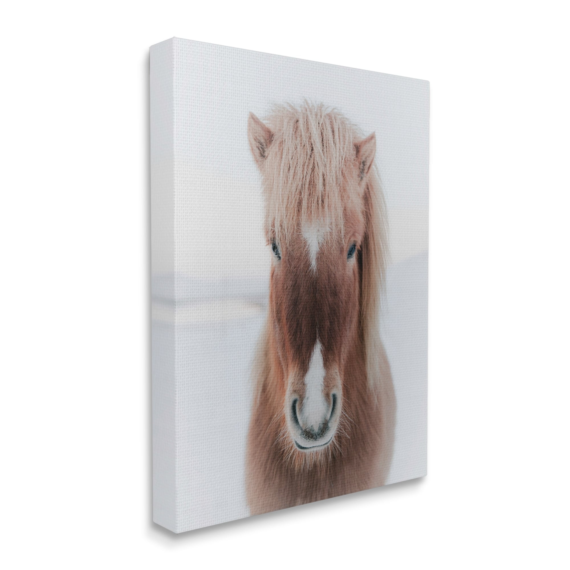 Stupell Industries Majestic Closeup Brown Horse White Winter Landscape Canvas Wall Art, 24 x 30, Design by Amy Brinkman