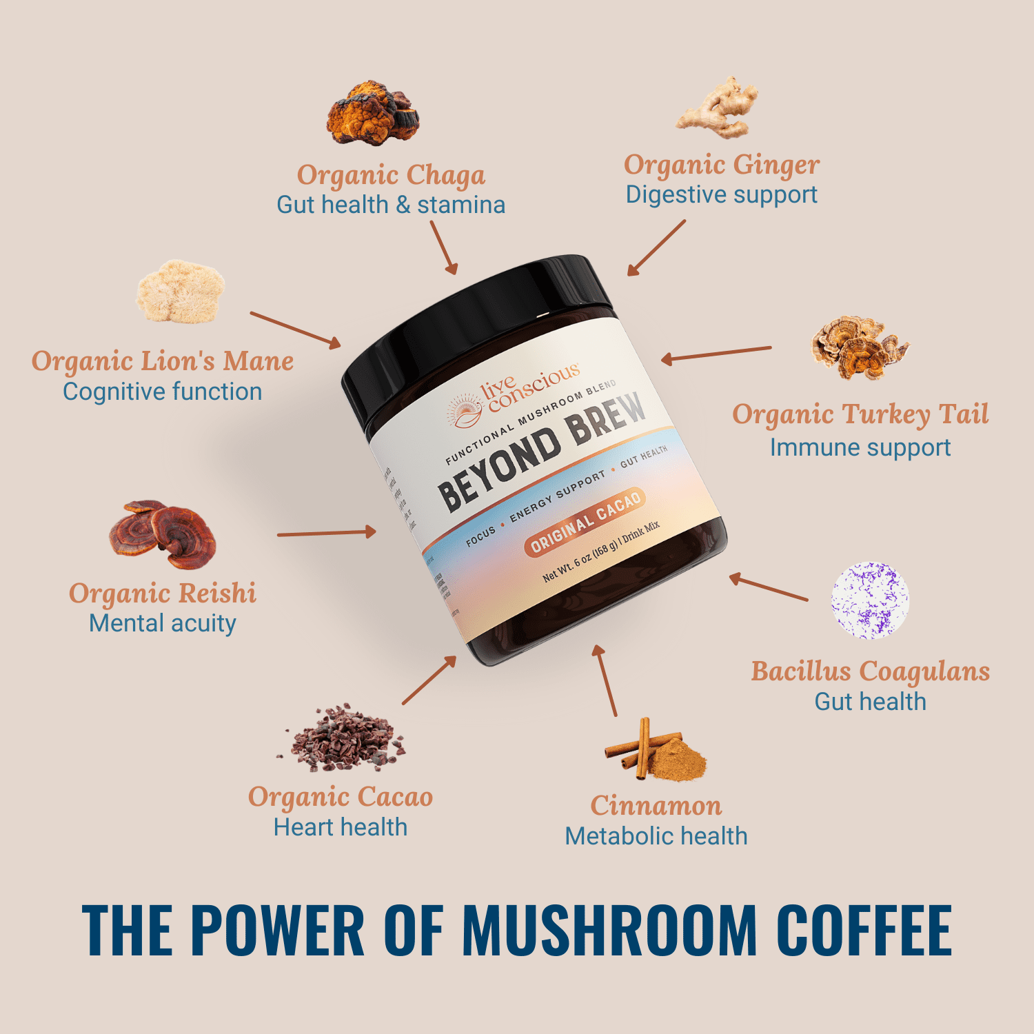 Live Conscious Beyond Brew Mushroom Superfood Coffee Alternative, 30 Serv.