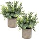 thumbnail image 1 of Flojery Mini Plantas En Maceta De Eucalipto Artificial, Boj, Romero, Hierbas Sintéticas, Pequeñas Plantas De Casa De 8.3 A 9 Pulgadas De Alto Para Interior Y Vegetación, Centro De Mesa D?Cor (Eucalipt, 1 of 5