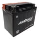 thumbnail image 3 of America TX12-BS 12V 10Ah AGM BCI para moto, 3 of 5