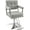Grey, variant on BarberPub Classic Styling Salon Chair Hydraulic Barber Chair Beauty Shampoo Spa Equipment 8816