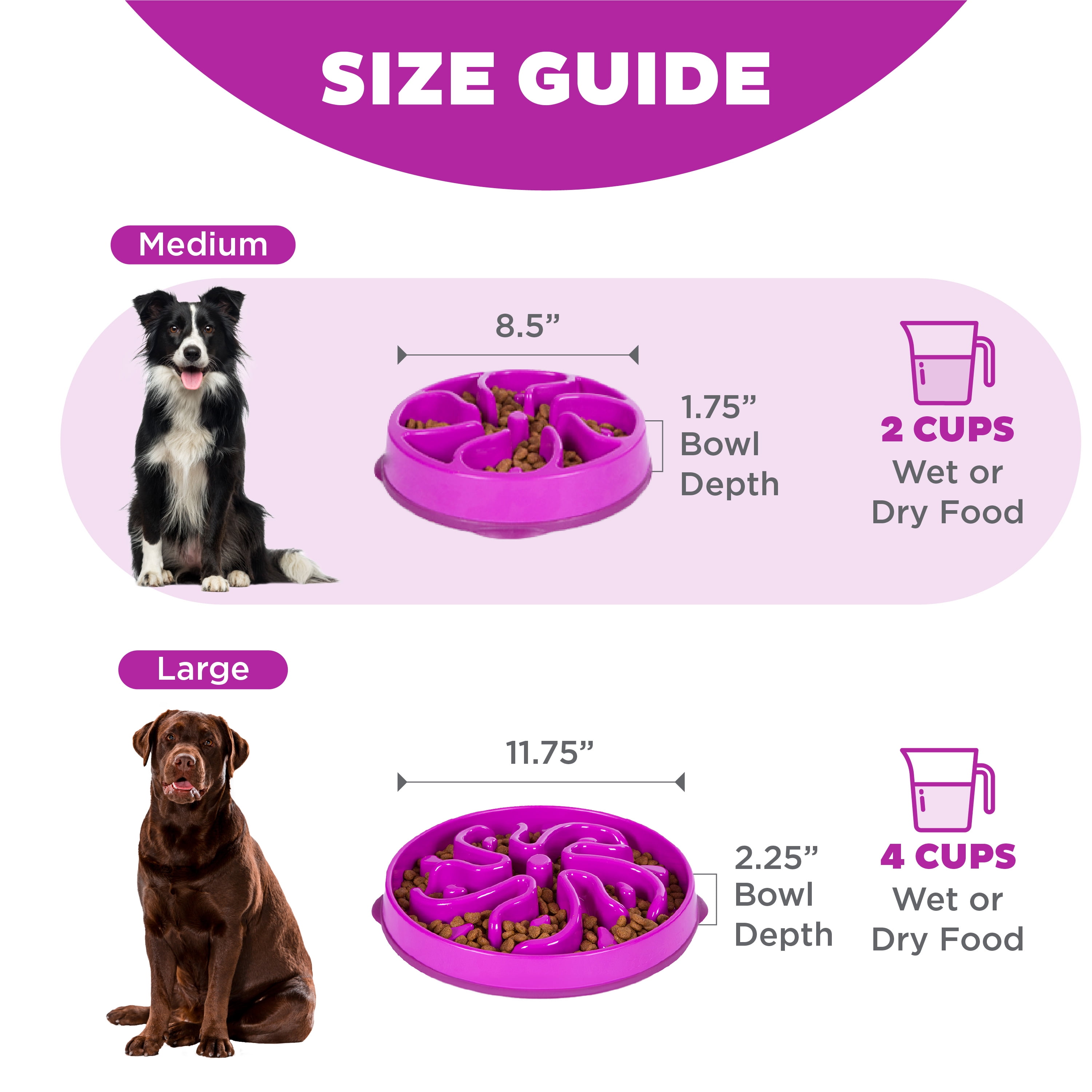 (2 pack) Outward Hound Fun Feeder Slo Bowl – Medium 2‑Cup Capacity, Slow Feeding, Small to Medium Dogs & Cats, Non-Slip, Purple, Flower Pattern