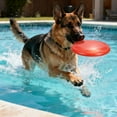 thumbnail image 6 of Uxcell Dog Flying Discs, Plastic Dog Flying Discs Resistant Bite, 9 Inches, (Blue, 1 Pcs), Intended For Medium to Large Breeds, Outdoor Activities/Training/Games/Swimming, 6 of 7