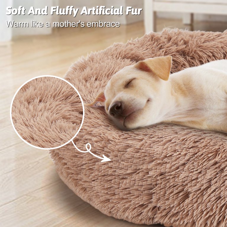 Donut Dog Beds: Calming Options & Plush Comfort