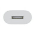 thumbnail image 3 of Apple USB-C to Lightning Adapter 1’ Braided Durable Lightning Cable, 3 of 3