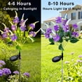 thumbnail image 3 of Rirool Solar Salvia Flower Lights Outdoor 2 Pack, Purple LED Garden Lights with 2 Lighting Modes, IP65 Waterproof Solar Garden Stake Lights Auto On/Off for Yard Patio Pathway Decoration, 3 of 8
