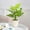 C, variant on Artificial Potted Greenery, 12.2-Inch Faux Leaf Decor for Desk, Shelf, Bedroom and Office, Style D