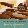 thumbnail image 5 of Werther's Original Harvest Pumpkin Spice Soft Caramel Candy, 8.57 oz, 5 of 9