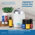 thumbnail image 3 of Sparoom HALLS Mini SpaMist Essential Oil Aromatherapy Diffuser, 3 of 5
