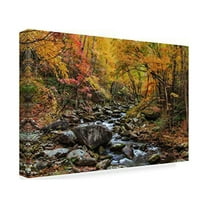 Trademark Fine Art 'Tremont Stream Watercolor' Canvas Art by Galloimages Online