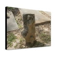 thumbnail image 1 of Canvas Print: Gravestones At The Cemetery, Mt. Nebo, Alabama, 2010, 1 of 3
