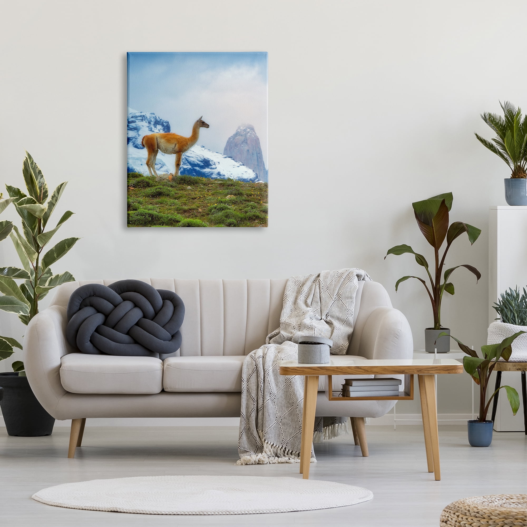 Stupell Industries Wild Llama Photography Animals & Insects Photography Gallery Wrapped Canvas Print Wall Art, 30 x 40