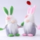 thumbnail image 4 of Decoración De Gnomo De Conejito De Pascua Con Forma De Zanahoria, Muñeca Sin Rostro De Pascua, Enano De Peluche, Decoraciones Para Fiesta En Casa, Juguetes Para Niños Advancent HA022631-00, 4 of 7