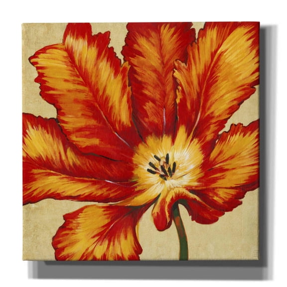 Epic Graffiti 'Parrot Tulip II' by Tim O'Toole, Canvas Wall Art, 26"x26"