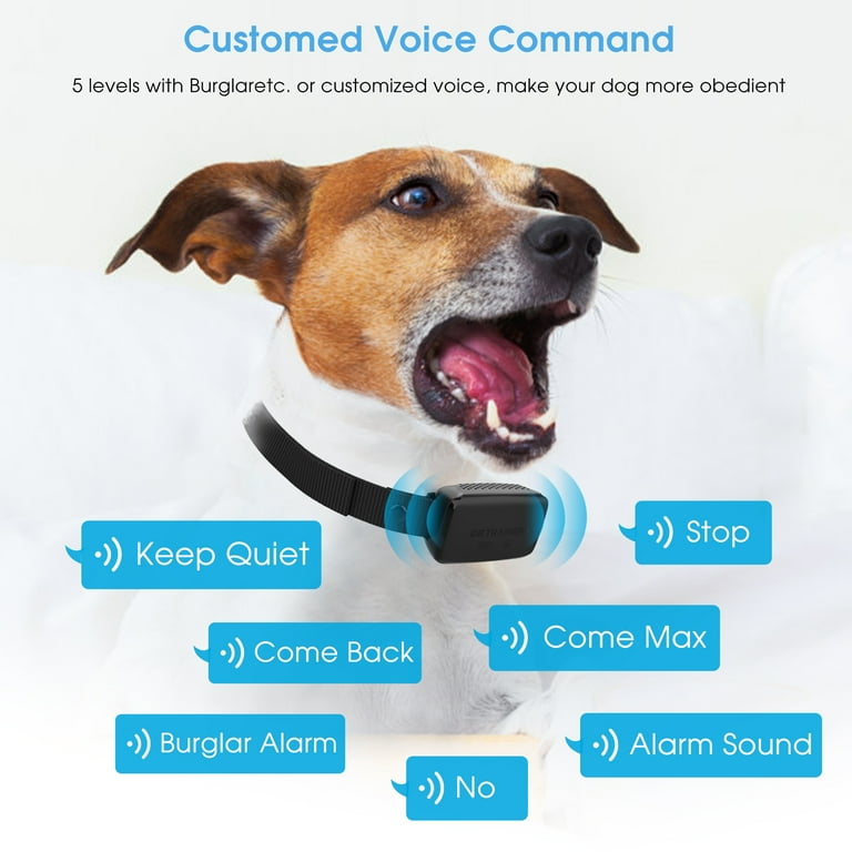 Progressive bark sale collar