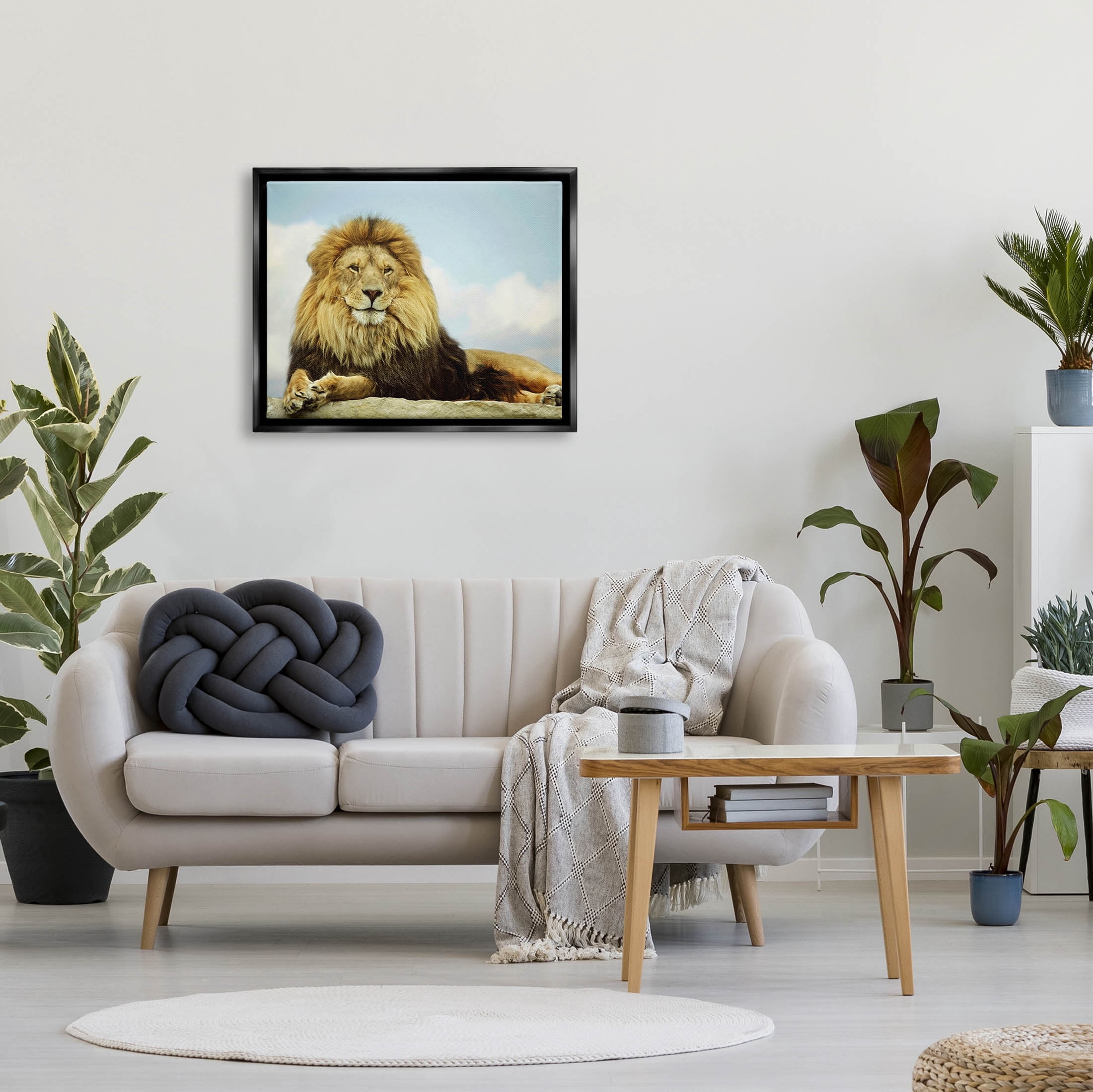 Stupell Industries Savanna Lion Photography Portrait Photograph Jet Black Floating Framed Canvas Print Wall Art, Design by Carrie Ann Grippo-Pike