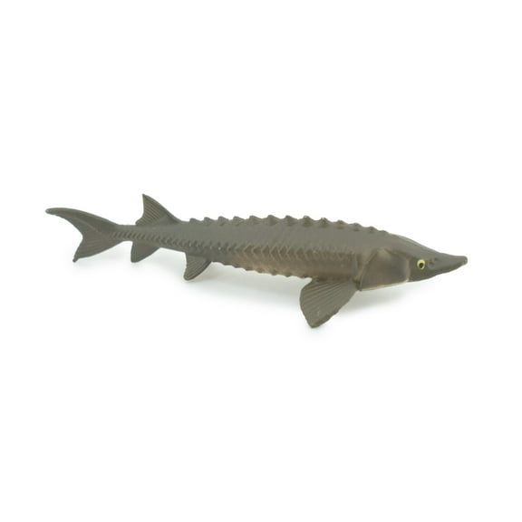 Sturgeon, Hand Painted, Educational, Rubber Fish, Realistic Figure, Lifelike Model, Figurine, Replica, Gift, 3 1/4" SF15 B31