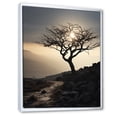 thumbnail image 2 of Designart "Dusk Photography In The Ivory Islands" Palms & Palm Trees Floater Framed Canvas Wall Art, 2 of 5