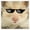 1pcs, variant on Hamster Selfie Protective Animal Charity Sarcastic Meme Sticker