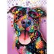 thumbnail image 1 of Pintura de diamante 1 (DE4985) 5D DIY Perro Cuadrado Rhinestone Animal Imagen 45x60cm FLhrweasw Nuevo, 1 of 1