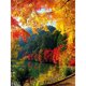 thumbnail image 1 of Cuadros Decorativos Kit de pintura de diamante 5D DIY mosaico de taladro cuadrado completo de hoja de otoño (ZQF8126) Sywqhk Nuevos Originales, 1 of 9