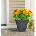 thumbnail image 3 of 11.5IN auto-arrosage PLANT SPA-GRISE, 3 of 5