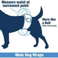 Male Wraps Disposable Dog Diapers 1 Tab Small 288 Count Bulk Pack male-wraps-disposable-dog-diapers-1-tab-small-288-count-bulk-pack