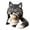 Celestial Night Wolf#027, variant on DIY Crochet Kit for Beginners, Hood Hat DIY Crochet Making Set with Fantasy Wearable Hood Hat Craft Set with Yarn, Creative Handmade Project and Relaxing Craft Activity,Mystic Green Dragon