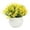 C#059 D, variant on Faux Potted Plant for Home Desktop Decor, Realistic Artificial Small Greenery Arrangement for Office Table Bookshelf, Modern Indoor Decorative Accent C#059 C