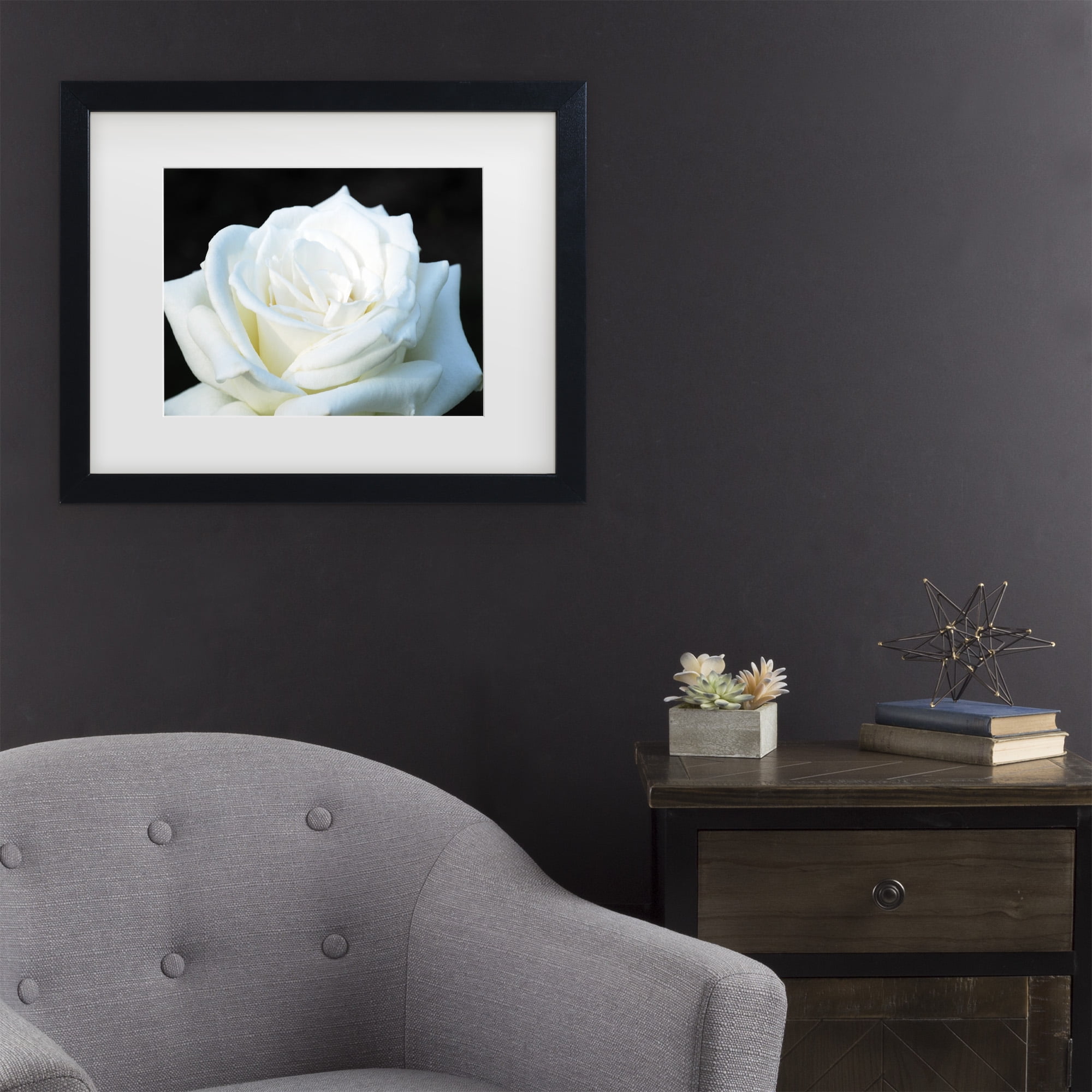 Trademark Fine Art 'White Rose II' Canvas Art by Kurt Shaffer