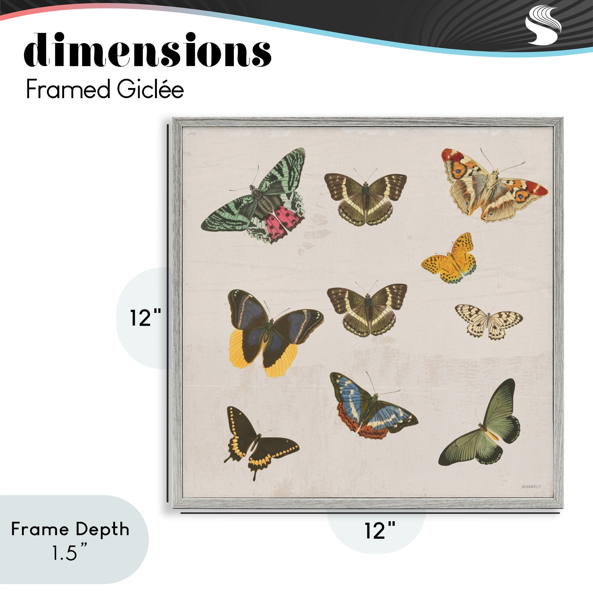 Stupell Industries Antique Butterfly Flight Gray Framed Giclee Art, design by Dan Meneely