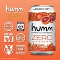 thumbnail image 2 of Humm Probiotic Kombucha Zero Sugar Blood Orange - No Refrigeration Needed, Keto-Friendly, Organic, Vegan, Gluten-Free - 12oz Cans (4 Pack), 2 of 3