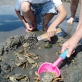 thumbnail image 4 of 1Pc Rake For Clamming Clam Digging Tool With Stainless Steel And Net Design 10.2*4.9in, 4 of 9
