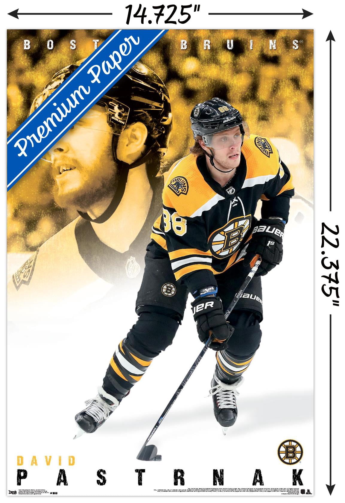 NHL Boston Bruins - David Pastrnák 19 Wall Poster, 14.725" x 22.375"