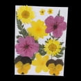 thumbnail image 2 of Hojas de flores secas y prensadas naturales para hacer adornos, manualidades y joyas con resina. Cereza, 2 of 9