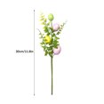 thumbnail image 2 of Esquejes de plantas verdes de huevo de pájaro de Pascua ANGGREK 30 cm, 2 of 8